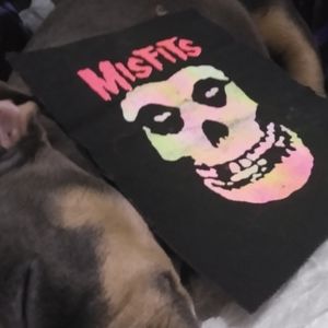 Misfits Black And Pastel Rainbow Patch